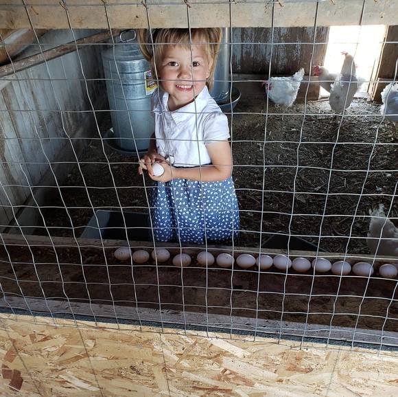 Meet your Posher, Kathy - Picture 1 of 1